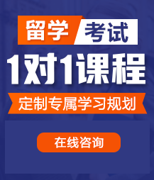 a级毛湿湿老司机留学考试一对一精品课